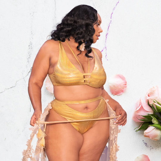 Sample Size Sky Hi Bikini Set