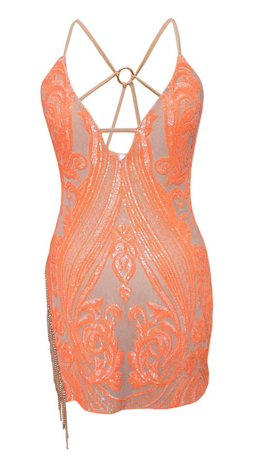 Sample Size Pressure Dress