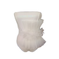 Royal Splendor Bodysuit